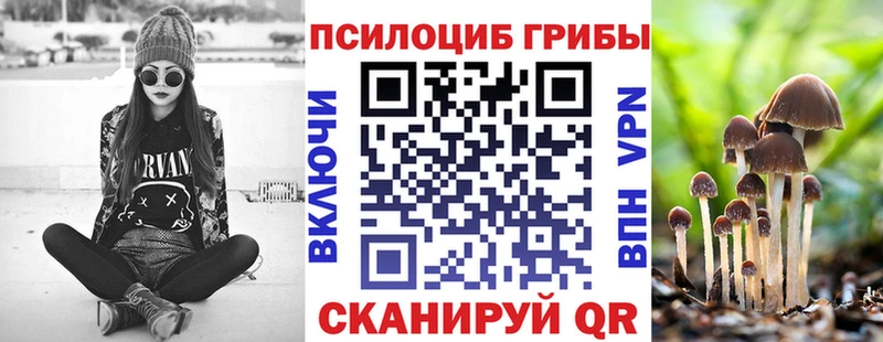 наркошоп  Кукмор  Псилоцибиновые грибы Psilocybine cubensis 